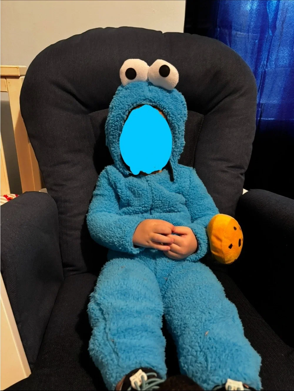 2025 Sesame Street Brand Cookie Monster Costume (no cookie)